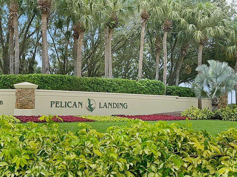 Pelican Landing